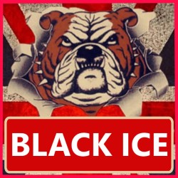 BLACKCURRANT ICE 10ml x 20 Box Deal