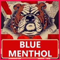 BLUE MENTHOL ( Hizen )10ml x 20 Box Deal