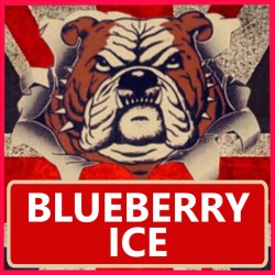BLUEBERRY ICE 10ml x 20 Box Deal