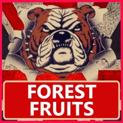 FOREST FRUITS 10ml x 20 Box Deal