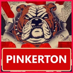PINKERTON 10ml x 20 Box Deal